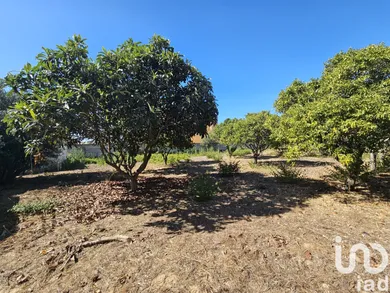 Terreno  em Palmela