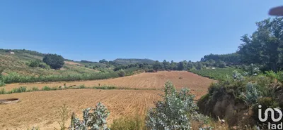 Fotografia 3 de Terreno de 26 562 m² em Azueira e Sobral da Abelheira