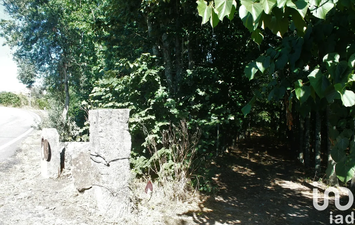 Terreno de 18 940 m² em Vila Boa de Quires e Maureles