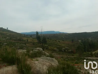 Terreno  em Seixo da Beira