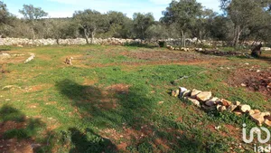 Land  in Loulé (São Clemente)