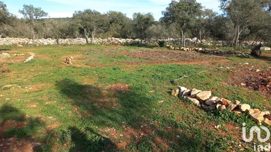 Terrain  à Loulé (São Clemente)