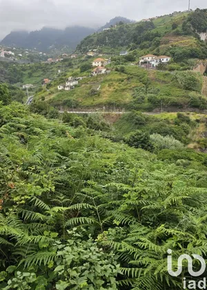 Terreno  em Porto da Cruz