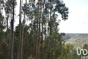 Terreno em Rio de Couros e Casal dos Bernardos