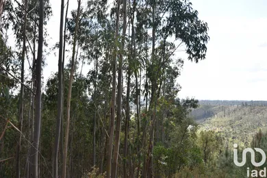 Terreno em Rio de Couros e Casal dos Bernardos