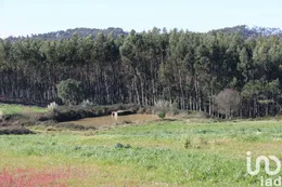 Terreno rústico em Silveira