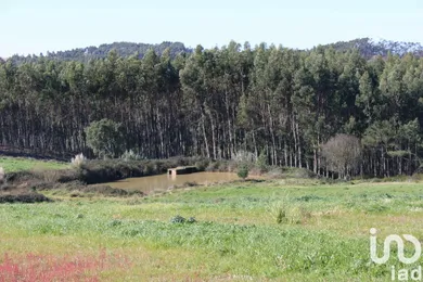 Terreno rústico  em Silveira