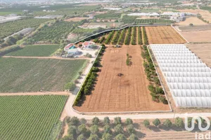 Ferme à Conceição e Estoi