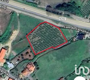 Land  at Prado e Remoães