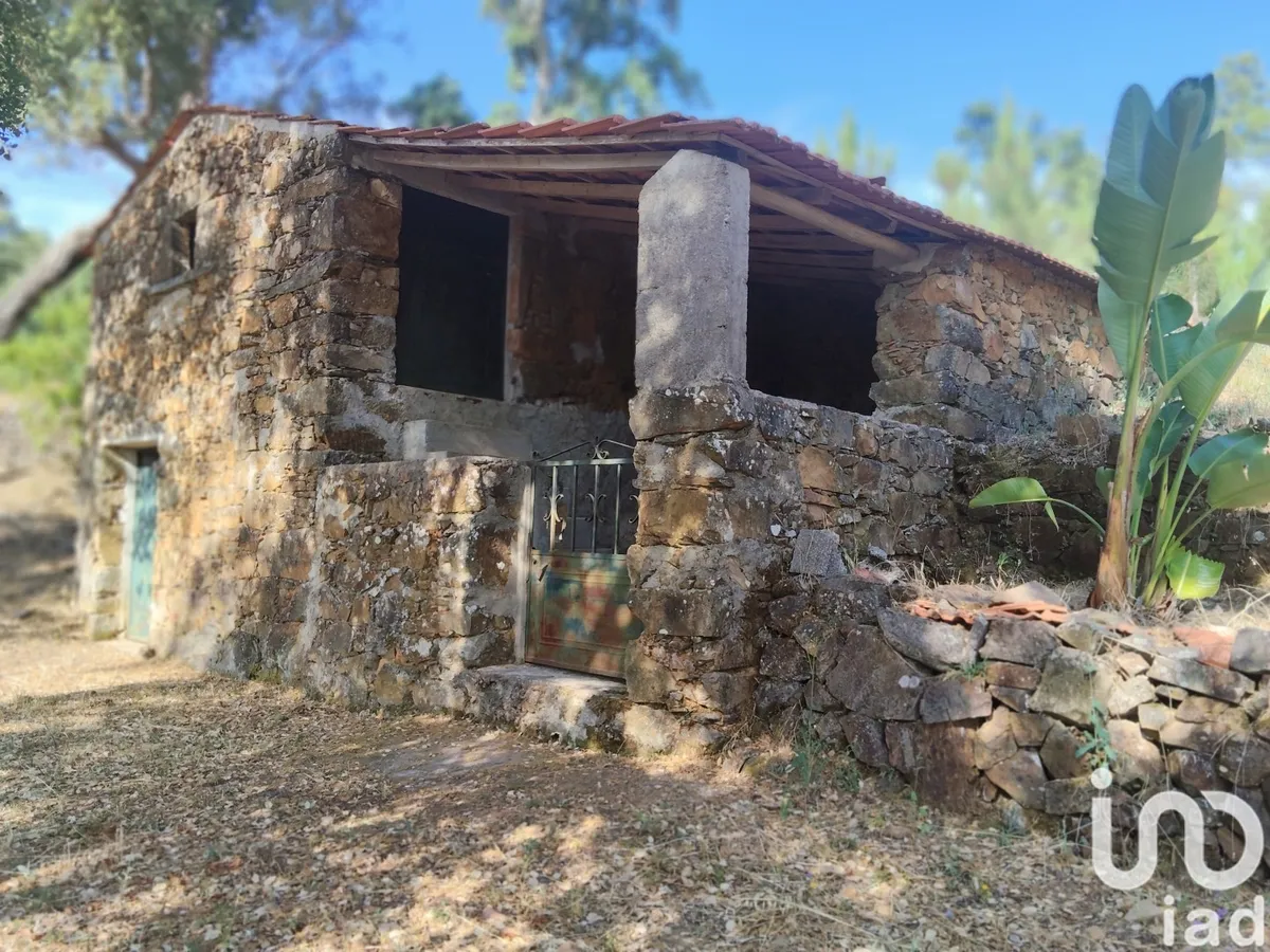 Terreno de 3600 m² em Pedrógão Pequeno