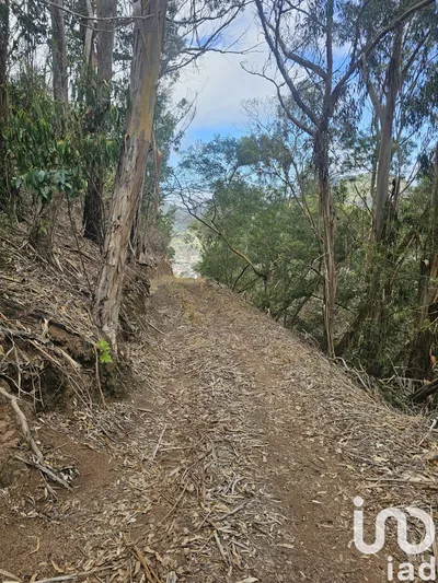 Fotografia 3 de Terreno de 10 100 m² em Água de Pena