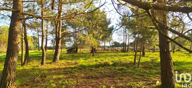 Terreno  em Vila do Bispo e Raposeira