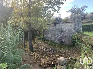 Lodge  at Figueiró dos Vinhos e Bairradas