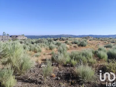 Fotografia 1 de Terreno de 51 606 m² em Sernancelhe e Sarzeda