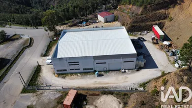 Loja / Estabelecimento Comercial em Alvares