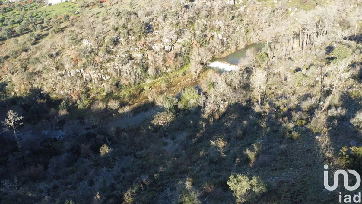 Terreno de 13 073 m² em Freixianda, Ribeira do Fárrio e Formigais
