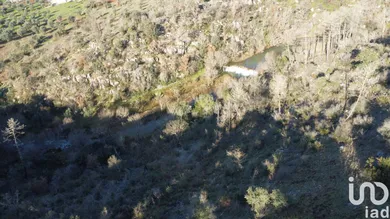 Land  at Freixianda, Ribeira do Fárrio e Formigais