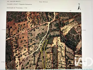 Terreno em Boliqueime