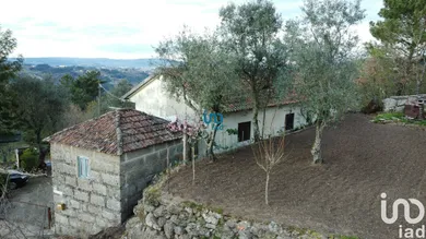 Maison à Várzea, Aliviada e Folhada