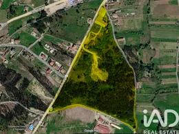 Armazém  em Canas de Santa Maria