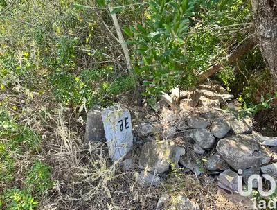 Fotografia 3 de Terreno de 5570 m² em Luz de Tavira e Santo Estêvão