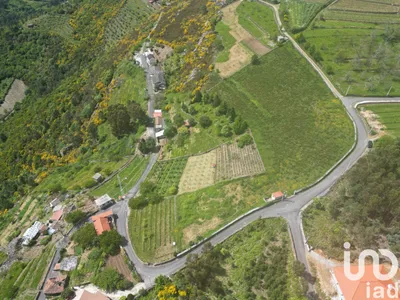 Fotografia 1 de Terreno de 8264 m² em Torgueda