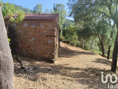 Fotografia 3 de Terreno de 3600 m² em Pedrógão Pequeno