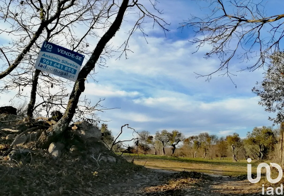 Terreno rústico de 53 000 m² em Castelo Branco