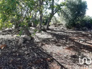 Terreno rústico  em Alte