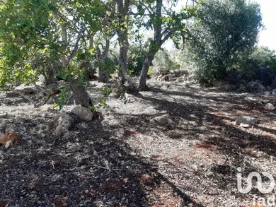 Terreno rústico  em Alte