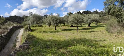 Fotografia 4 de Terreno de 2040 m² em Aranhas