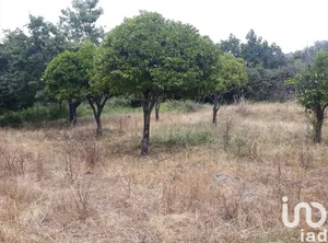 Ferme  à Ribeira de Nisa e Carreiras
