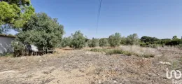 Terreno  em Azambujeira e Malaqueijo