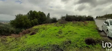 Land  in Vila de Cucujães