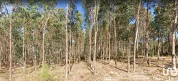 Land  in Pelariga
