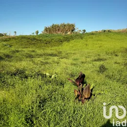 Terreno  em Santa Maria, São Pedro e Sobral da Lagoa