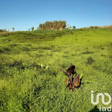 Terrain  à Santa Maria, São Pedro e Sobral da Lagoa