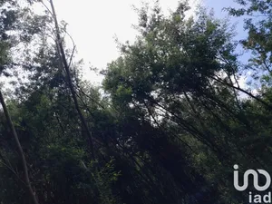 Terreno em Cortes do Meio