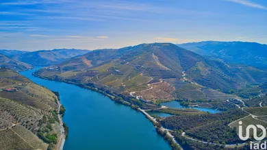 Farm at Barcos e Santa Leocádia