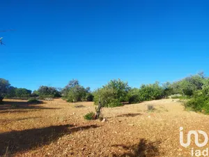 Land at Loulé (São Sebastião)