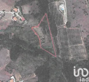 Farm land  at Alcobaça e Vestiaria