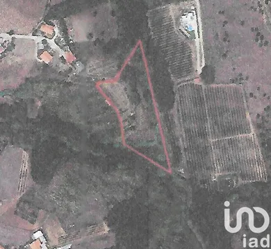 Farm land at Alcobaça e Vestiaria