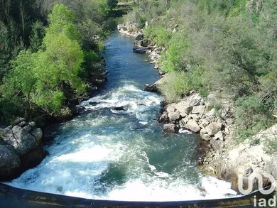 Land at Canas de Senhorim