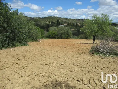 Farm land  in Boliqueime