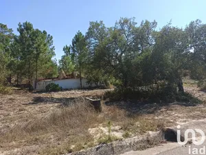 Farm at Coruche, Fajarda e Erra