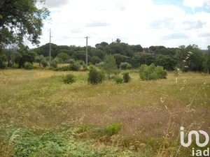 Terreno urbano  em Montargil