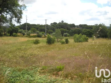 Terreno urbano  em Montargil