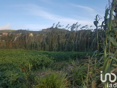 Land  in Ponta do Pargo