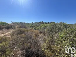 Land  in Barão de São Miguel