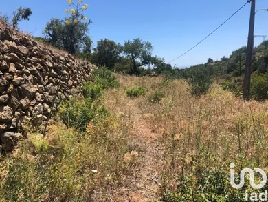 Farm land  in Conceição e Estoi